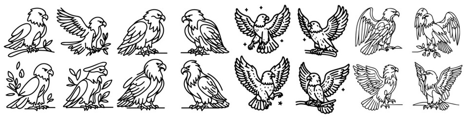 Collection of vector lines of eagle animals