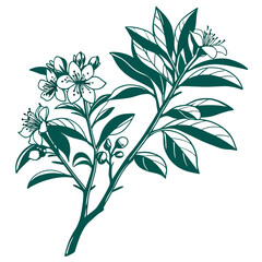  Myrtle Plant Houseplant Bold Outline Design