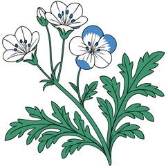  Stylish Menziesii Nemophila Houseplant Design
