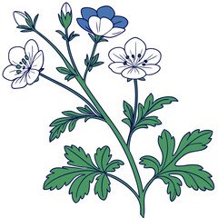  Charming Menziesii Nemophila Houseplant Art