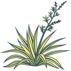  Charming New Zealand Flax Houseplant Illustration