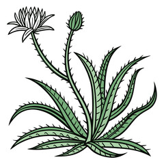  Vibrant Nopalea Houseplant Art