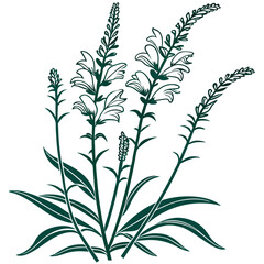  Obedient Plant Houseplant Bold Art