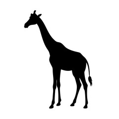 Giraffe silhouette vector illustration for africa wildlife animal design and safari park zoo art