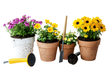Gardening, Colorful potted flowers and gardening tools are displayed on a clean, white space, isolated on white, PNG