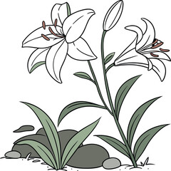 White Lillies with Green Leaves on Natural Ground Design