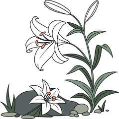 White Lillies with Green Leaves on Natural Ground Design
