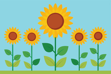 sunflowers on a blue background