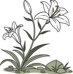 White Lillies with Green Leaves on Natural Ground Design