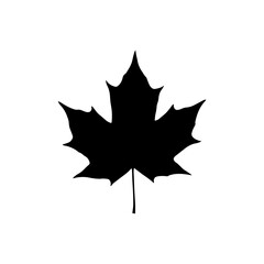 Maple leaf silhouette icon vector flat design.