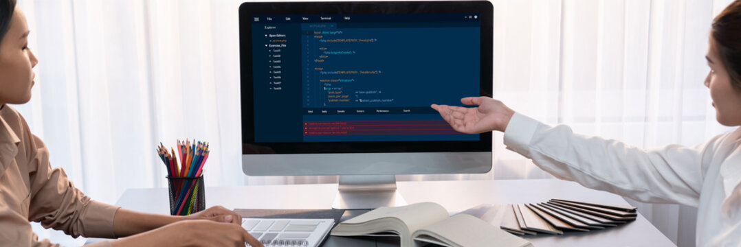 Software development programming on computer screen for brisk application and program coding