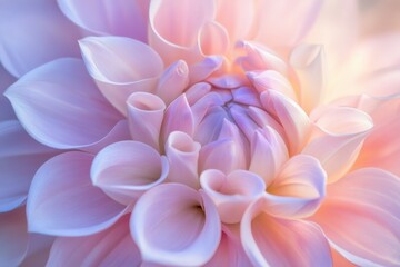 Fototapeta premium light swirl bloom, pastel ripple, background