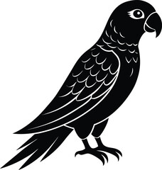 Parrot Silhouette