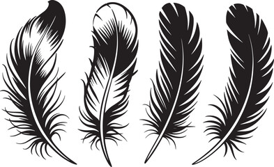 Obraz premium Set of feathers vector illustration isolated On Transparent Background