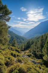Obraz premium Mountain landscape with green trees under a blue sky and bright sun.