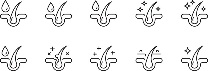 Hair Follicle Growth Stages Icons Set for Hair Care