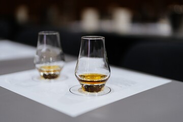 Enjoying a moment of whiskey tasting at a cozy gathering with friends