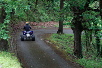 Noisy vehicle in the woods