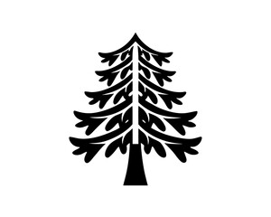 creative details Evergreen tree icon Vector Illustration  