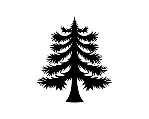 Obraz premium creative details Evergreen tree icon Vector Illustration 