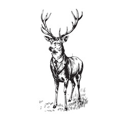 Mature Deer in Suit – Vintage Gentleman Vector Art
