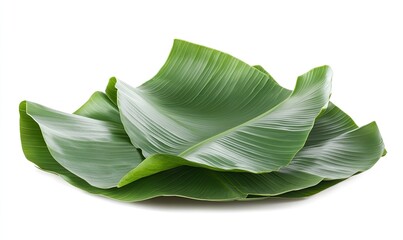 Lush green banana leaves arranged neatly