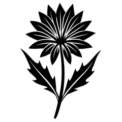 flowers Chicory silhouette vector illustrator 