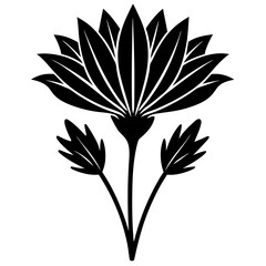 flowers Chicory silhouette vector illustrator 