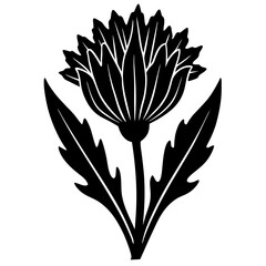flowers Chicory silhouette vector illustrator 