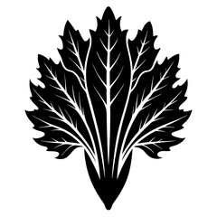 flowers Chicory silhouette vector illustrator 