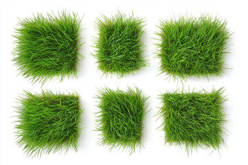 Green grass patches ideal for landscaping and gardening isolated on a white background
