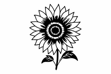sunflower vector illustration