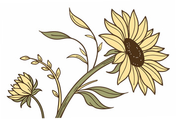 vector illustration of a sunflower