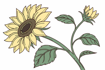 set of sunflower