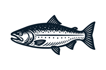 Vintage salmon fish illustration in bold engraving vector style

