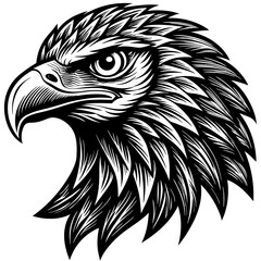 Obraz premium Majestic eagle head vector illustration, a wild bird of prey with a powerful beak and sharp features