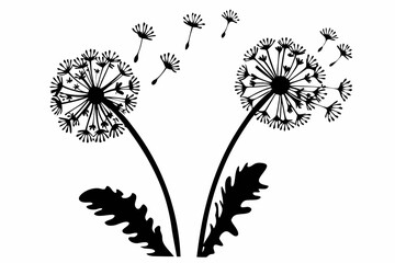 silhouette of dandelion