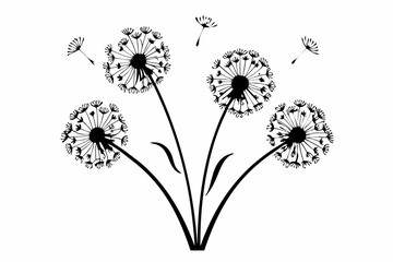 black and white flowers