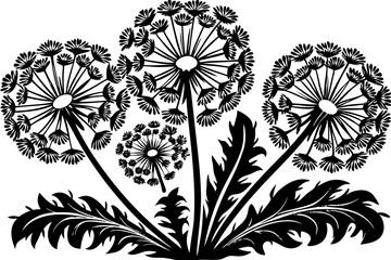 black and white flowers