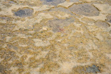 Sandstone bedrock, patterns of cracks and fissures, Malta. Secluded bays and beautiful coastline in Malta	
