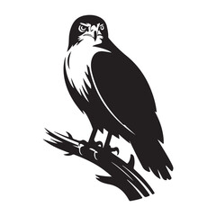 Obraz premium eagle vector on a white background 