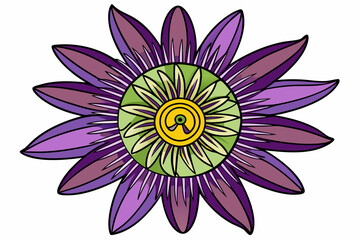 vector illustration of lotus flower