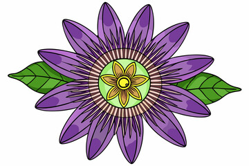 Fototapeta premium vector illustration of lotus flower
