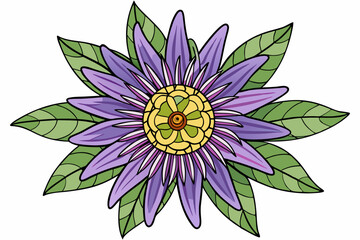 vector illustration of lotus flower