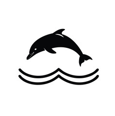 dolphin vector illustration