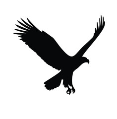 eagle silhouette vector