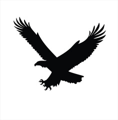 eagle vector illustration