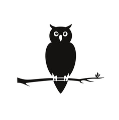owl on branch