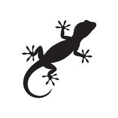 Fototapeta premium Gecko silhouette isolated on white background.