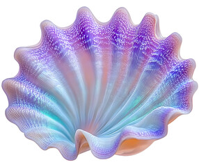 PNG Cute sea shell clam white background invertebrate.